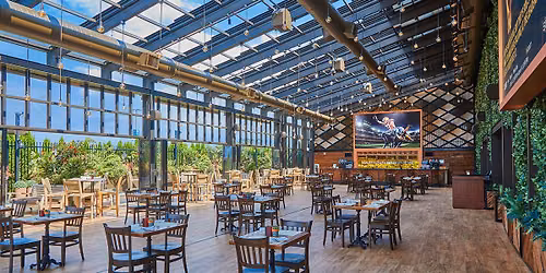 Birds Tailgate Party (21+ Event)