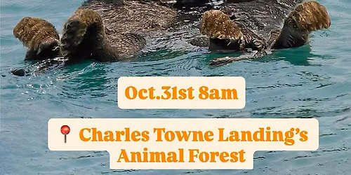 Halloween Day Otter Flow: Morning Yoga at Charles Towne Landing
