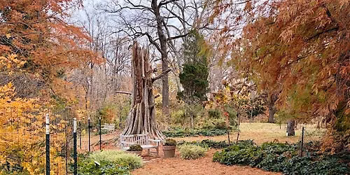 Gardener's Workshop: Gardening in Early Fall