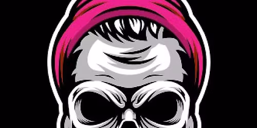 The Hipsters at The Kraken game