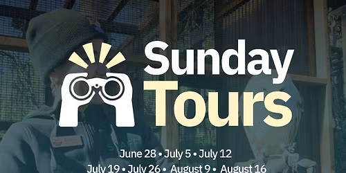Sunday Guided Tours