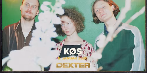 K\u00f8s - Dexter, Odense