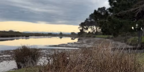 Walk the Talk - Blighs Garden, South Brighton