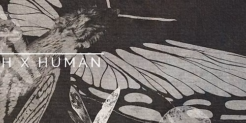 Moth Morning - Moth X Human