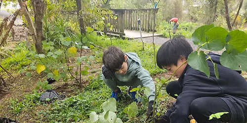 Stream Restoration Weeding and Planting Day