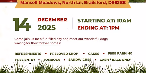 LAST OPEN DAY OF THE YEAR \ud83c\udf84