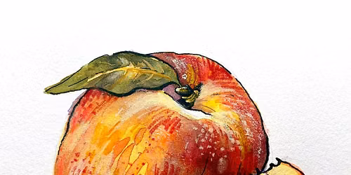 Watercolor Class at Cosentino Family Farm