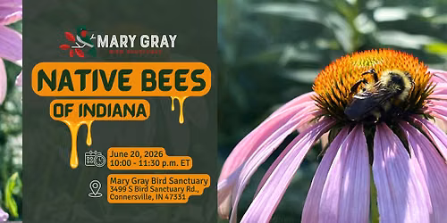 Indiana's Native Bees Hike at Mary Gray