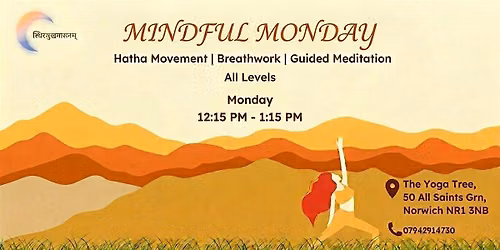 Holistic Hatha Yoga @ The Yoga Tree