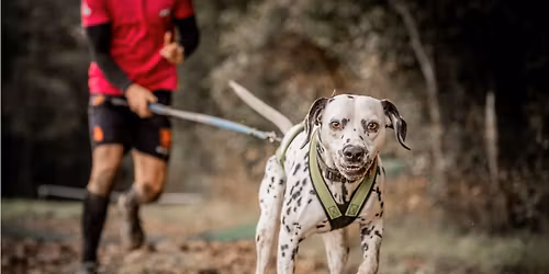 1. Canicross Einsteiger Seminar der Regio West