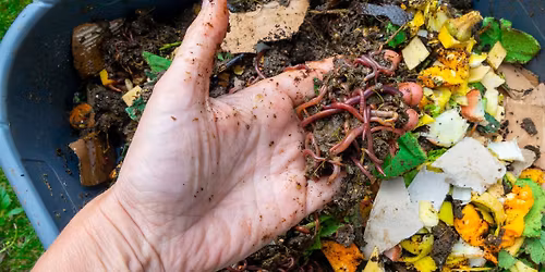 V\u00fdroba vermikompost\u00e9ru do dom\u00e1cnosti - workshop