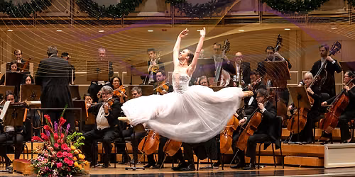 Salute to Vienna - New Year's Concert at Van Wezel Performing Arts Hall
