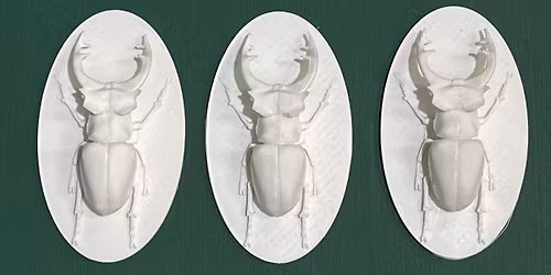 Makettfest\u0151 workshop