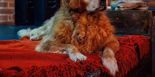 Dog Life Drawing - Waggon & Horses