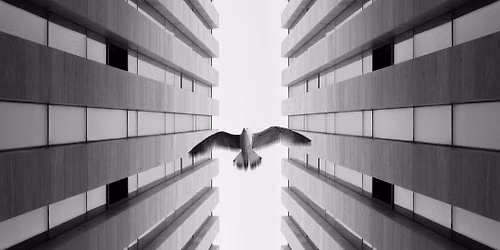 Composition in Photography