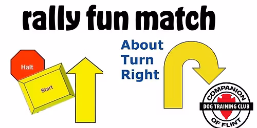 Rally Fun Match