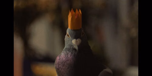 Let's Talk About Loss | EVERYMAN Manchester : Short Film for Grievers