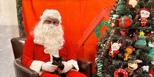 Pictures with Santa at Petsmart Powell