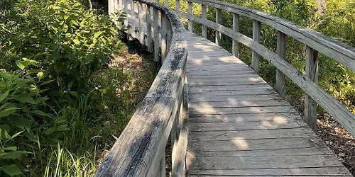 30a Nature Connection - Nature Trail Walk