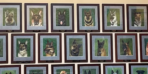 Sit, Stay, Laugh! Comedy Show