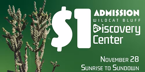 Discover for a Dollar