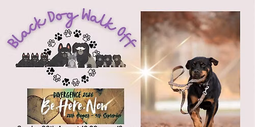 Black Dog Walk Off : Divergence BeHereNow Edition