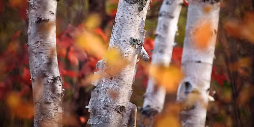 David Barthel Photography at Red Wing Arts Fall Festival 2026