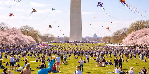 One Step Above Dance Studio - Kids Edition