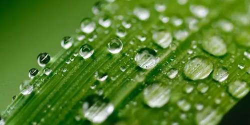 Macro Photography Class