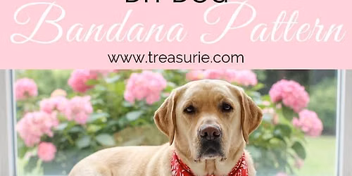 Creation Station - Donation Dog Bandanas