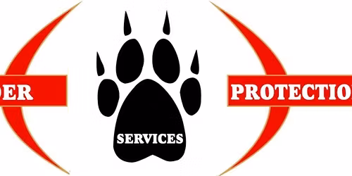 Close Protection Training