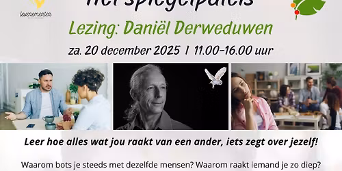 Het Spiegelpaleis - Dani\u00ebl Derweduwen