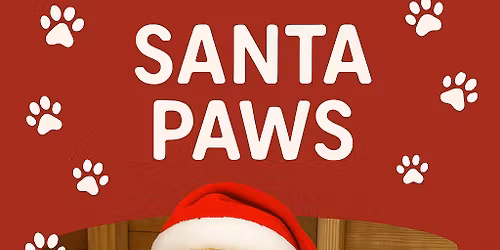 Santa Paws 