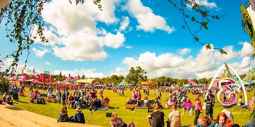 Electric Picnic Festival