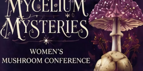 Mushrooms in the Kitchen and Apothecary with Linda Conroy