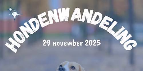 Hondenwandeling '25 | DAP Akuut