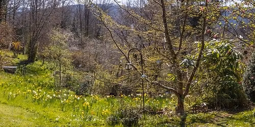 Visite guid\u00e9e au Jardin de Niargoutte \u2013Dimanche 12 Avril 2026