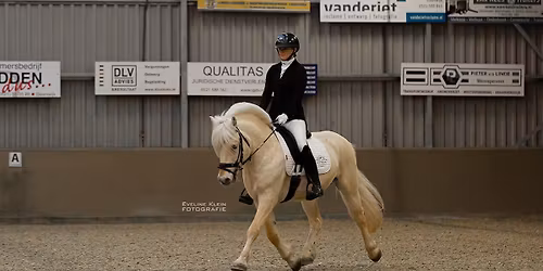 Hengstenkeuring en show