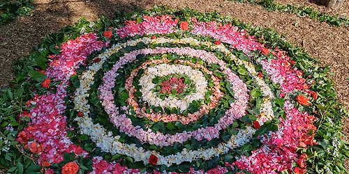 Az iskola\u00e9retts\u00e9gr\u0151l Waldorf-szemmel