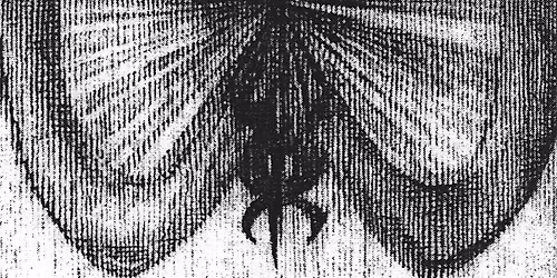 Robber Robber w\/ Empath and Racecar 44