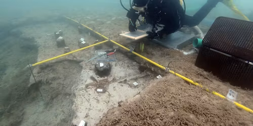 Vortrag: Stille Archive \u2013 Pr\u00e4historische Pfahlbauten und Unterwasserarch\u00e4ologie in \u00d6sterreich