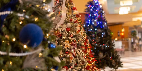 Festival of Trees - Cody 2026