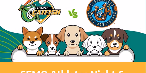 Danville Dans at Springfield Lucky Horseshoes at Robin Roberts Stadium at Lanphier Park