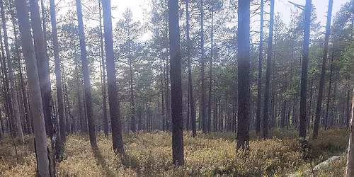 KEV\u00c4TVALON JOOGARETRIITTI HOTELLI NUUKSIOSSA