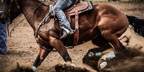 Quarter Horse Meet