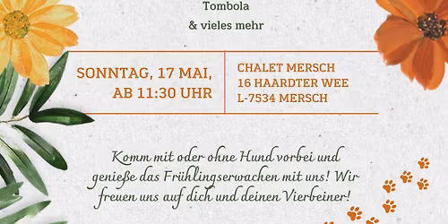 Maifest\ud83c\udf37\ud83c\udf3c\ud83c\udf38