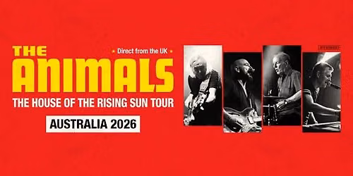 The Animals (UK) || The Gov