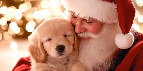 Photos with Santa Paws