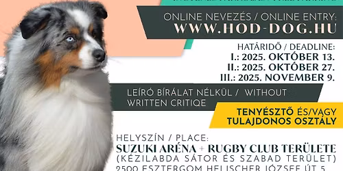 ESZTERGOM 2XCAC KUTYAKI\u00c1LL\u00cdT\u00c1S 2025.NOVEMBER 16.