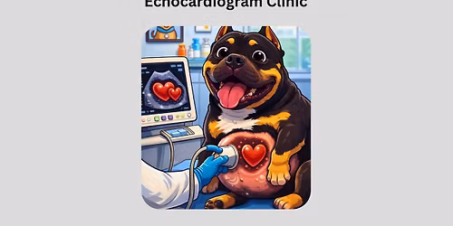 Echocardiogram Clinic